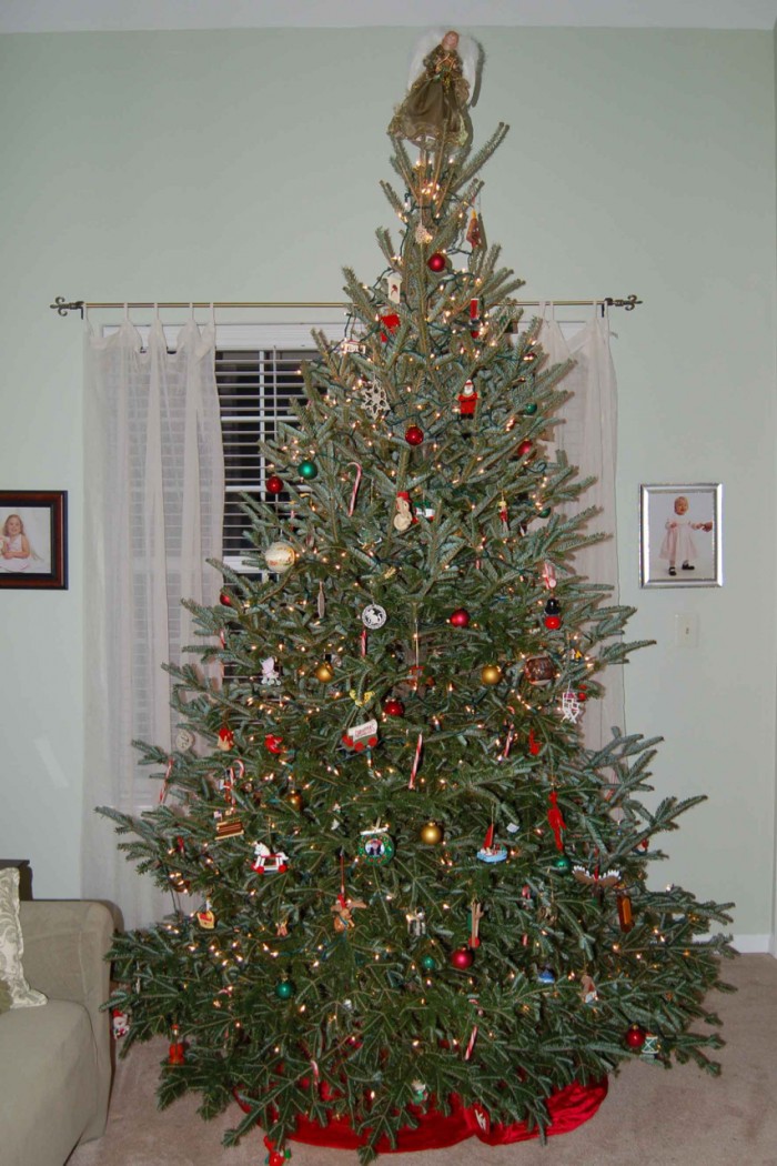 christmas tree 2006 - 1