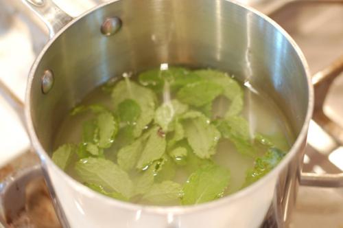 mojito recipe: mint infused simple syrup