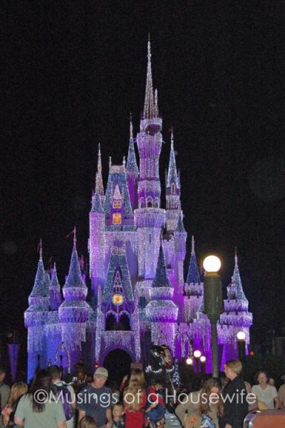 Disney-Castle-copy3