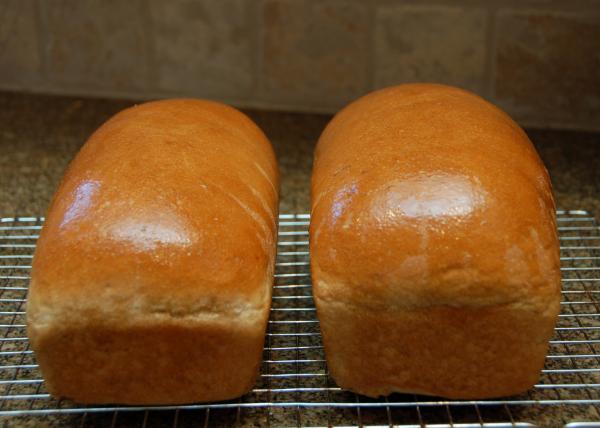 homemade whole wheat sandwich bread 20