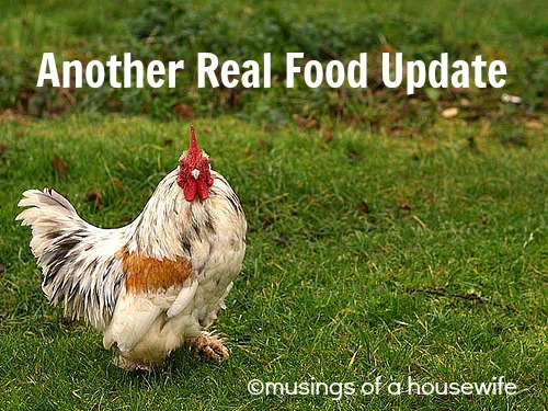 another real food update