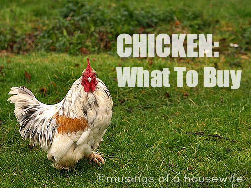 chicken-what-to-buy