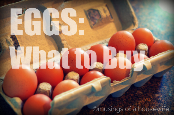 eggs-what-to-buy