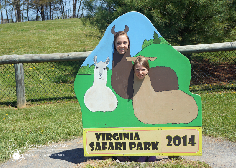 Virginia-Safari-Park-2014