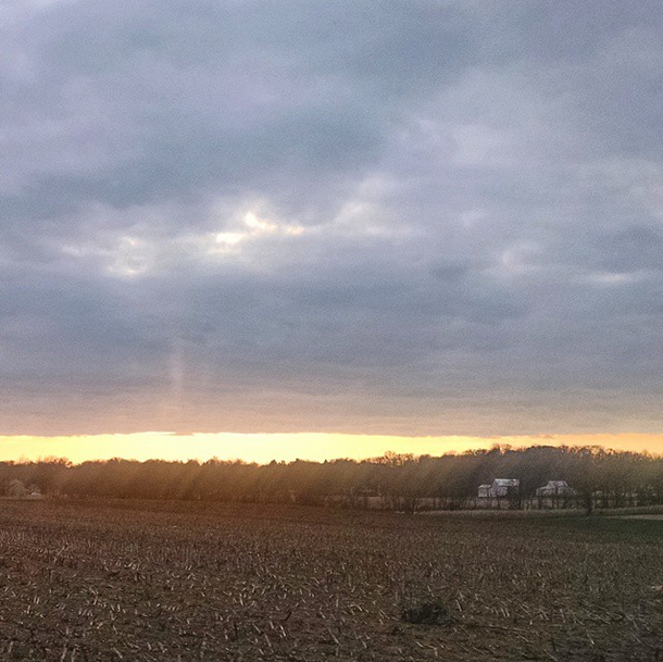 sunrise over the cornfield