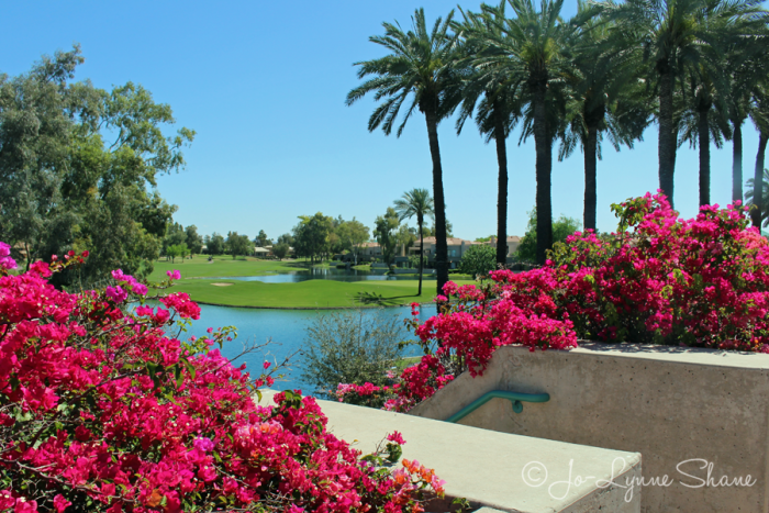 Arizona Luxury Family Travel: Experience the Hyatt Regency Scottsdale Spa and Golf Club at Gainey Ranch
