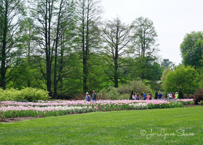 Flower Walk at Longwood Gardens