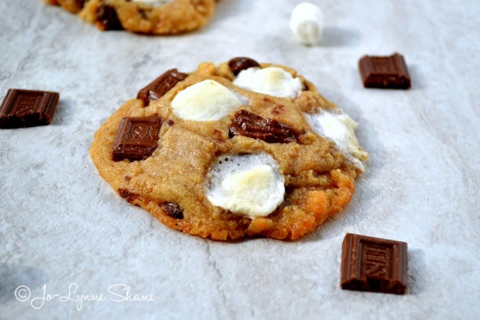 S'mores Cookie Recipe + Ice Cream Sandwiches: the perfect summertime treat