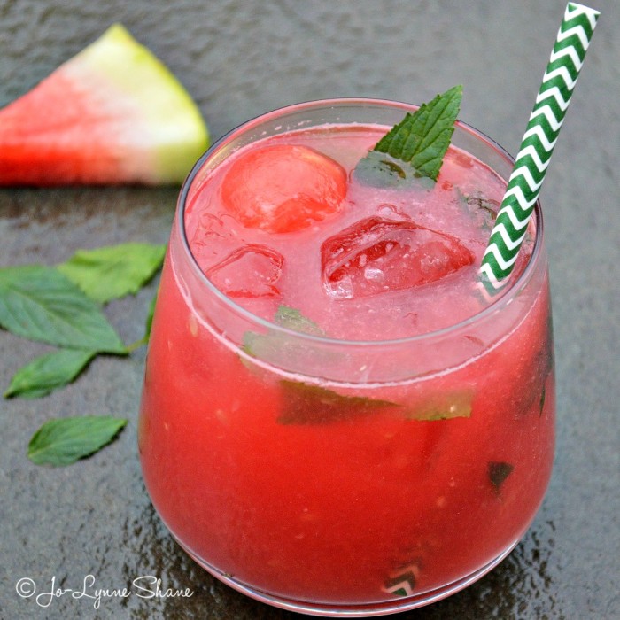 Want a twist on the popular mint mojito? Try this Watermelon Mojito Recipe -- it's the perfect summertime cocktail!