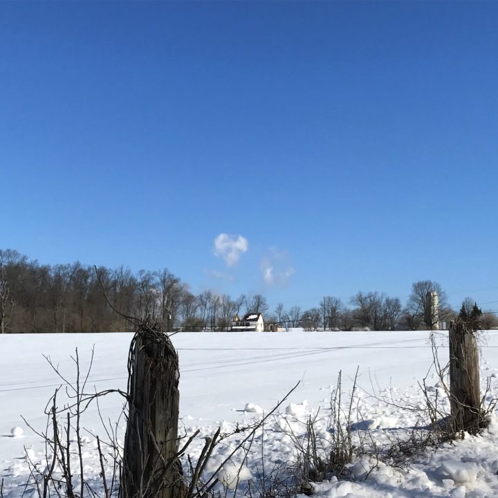 Snow on the Farm